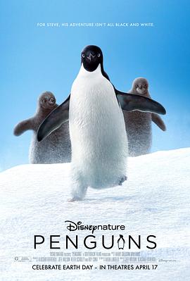 企鹅2019的海报