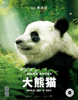 大熊猫的海报