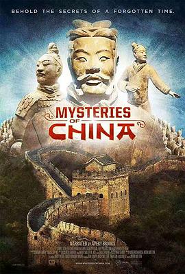 中国之谜的海报