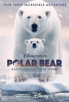 北极熊2022的海报