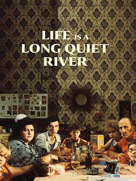 生活是条静静的河流的海报
