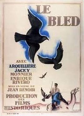 内地1929的海报