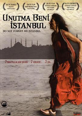 伊斯坦布尔，请不要将我遗忘海报剧照