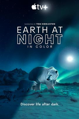 夜色中的地球 第二季海报剧照