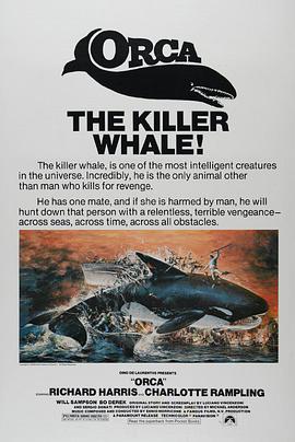 杀人鲸的海报