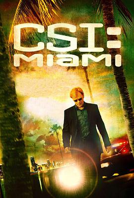 犯罪现场调查：迈阿密 第六季的海报