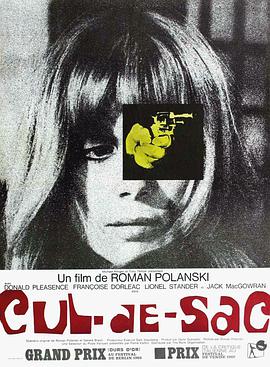 荒岛惊魂1966的海报
