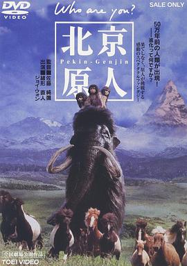 北京猿人的海报