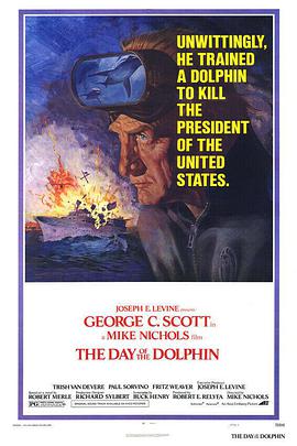 海豚之日的海报