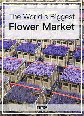世界上最大的鲜花市场的海报