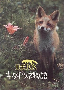 狐狸的故事的海报