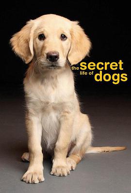 狗的秘密生活的海报