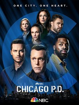 芝加哥警署第九季的海报
