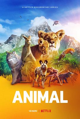 动物本色第一季的海报