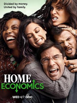 家庭经济学第一季的海报