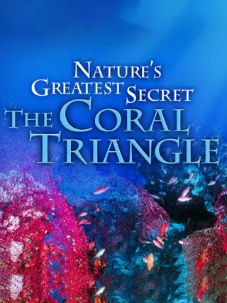 大自然最大的秘密：珊瑚三角区海报剧照