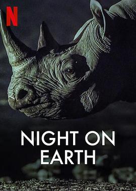 地球的夜晚的海报
