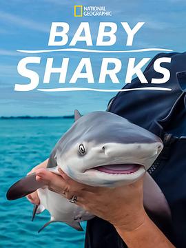 鲨鱼宝宝成长记的海报