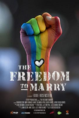 婚姻平权路的海报