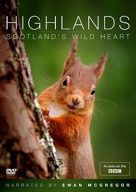 高地：苏格兰狂野之心第一季的海报