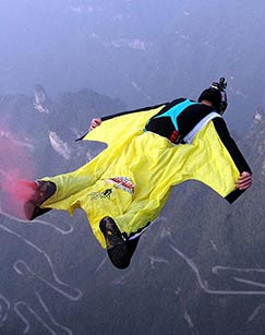 乌鸦：天空的流氓