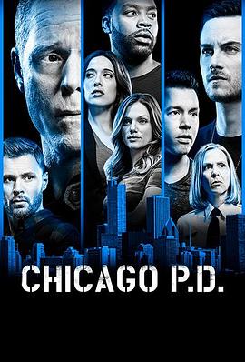 芝加哥警署第六季的海报