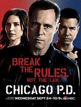 芝加哥警署第二季的海报