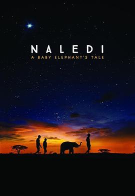 纳勒迪：一只小象的故事的海报