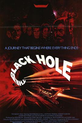 黑洞1979的海报