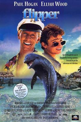 海豚的故事1996的海报