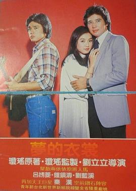 流金岁月1988粤语