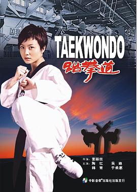 跆拳道2006的海报